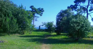 La Maison Bleue de l'Île d'Aix