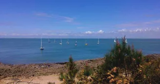 La Maison Bleue de l'Île d'Aix