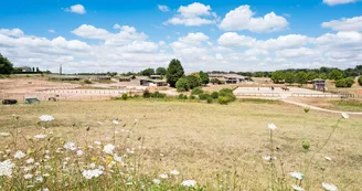 Domaine équestre du Val de Cognac