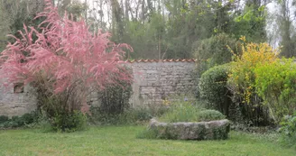 Gîte La Halte du Pinson Brun
