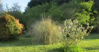 Gîte La Halte du Pinson Brun