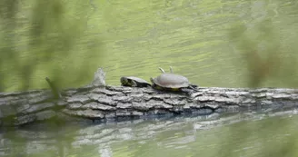 Les carrières de Touvérac