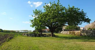 Le Studio à la Campagne