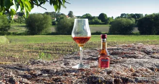 Le Studio à la Campagne