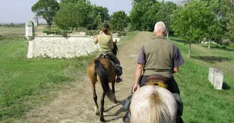 Centre de Tourisme Équestre - L'Étrier Ronçois