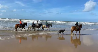 Centre de Tourisme Équestre - L'Étrier Ronçois
