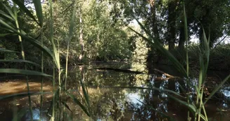 Espace Équestre Marais de Bréjat