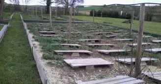 La cagouille charentaise