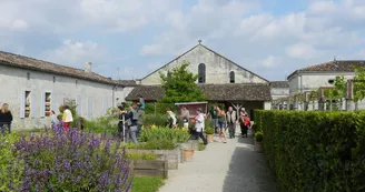Jardin médicinal de l'Hôpital des Pèlerins