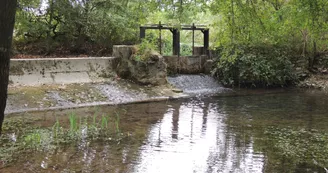 Circuit Explorer Autrement - Haimps