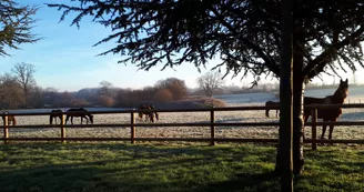Gîte du Domaine de Longeville