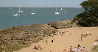 Escale île d'Aix avec tour de Fort Boyard - Compagnie Interîles