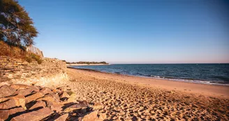 Passez votre séjour en cabane en bois haut de gamme