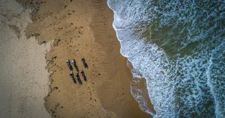 Fat Sand Bikes 17 - La Palmyre
