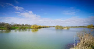 Parcours d'orientation bleu - Le Lac de la Lande