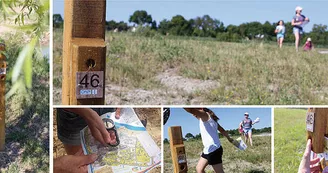 Parcours d'orientation orange - Breuillet
