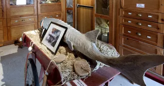 Musée d'Histoire Locale et de la Pêche dans l'Estuaire