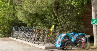 Passez une nuit en roulotte pour 4 personnes au cœur de la forêt