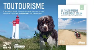 Le Rade de la Méduse