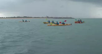 Croisière autour du Fort Boyard et escale sur l'île d'Aix