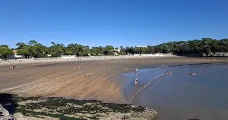 Maison au Petit Bonheur - Maubeau Stéphane