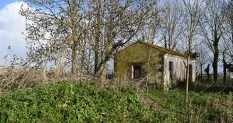 Hors les murs, à la Cabane de la Craie “Le marais de Brouage à l’abri !”