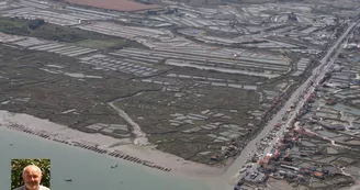 Exposition - Yannick Le Maux