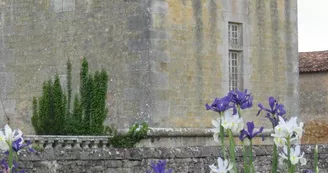 Château Chesnel Château Chesnel