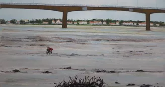 Exposition - Anne Thiry