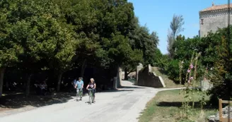 Escale île d'Aix avec tour de Fort Boyard - Croisières Navipromer