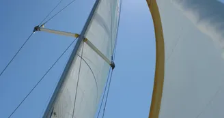 Sortie demi-journée - La Voile pour Tous