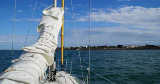 Stage week-end - la Voile pour tous