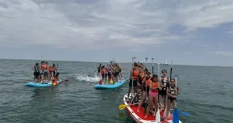 Sortie en paddle (2h) La Rochelle avec moniteur - TEX'