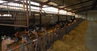 La ferme de Kalidaan