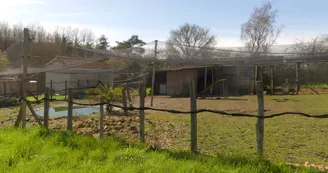 Le sanctuaire des poids plumes