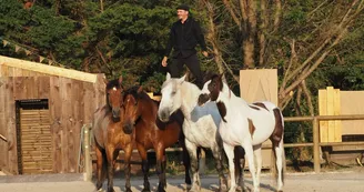 Les Écuries De Laguivari