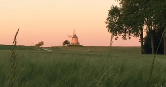 Ouvrard Marie-Paule - Les crécerelles