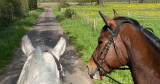 Poney Club de la Côte