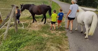 Poney Club de la Côte