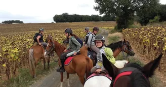 Poney Club de la Côte