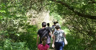 Réserve  naturelle régionale : La Massonne