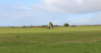 Les Saloches - St Martin du Gua