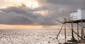 Exposition d'art : Regards sur la Charente-Maritime