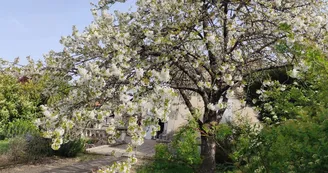 Villa Margo