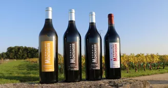 Domaine Montansier