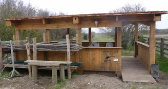 Exposition : Le baguage de A à Z