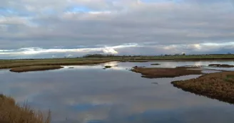 Exposition : Le baguage de A à Z