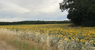 La Caz en Sol - Gite Le Fâ La Caz en Sol - Gite Le Fâ