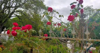 Gîte la maison des oliviers - 4 pers