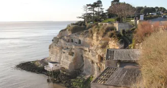 Le Tom de Royan - Seguy Pascaline Le Tom de Royan - Seguy Pascaline